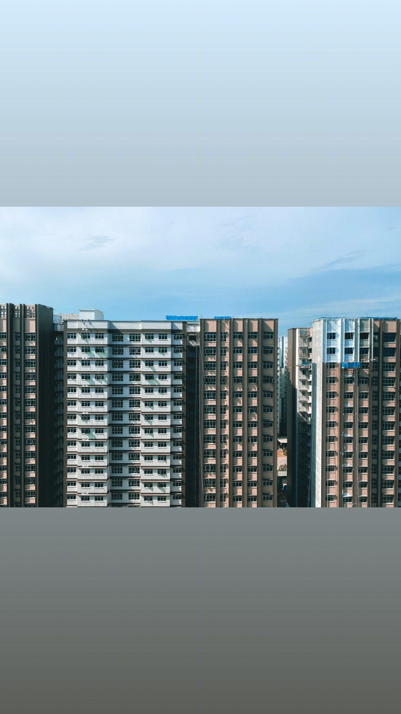 Anastasiya Gushchina丨公寓建筑丨HDB facades-4