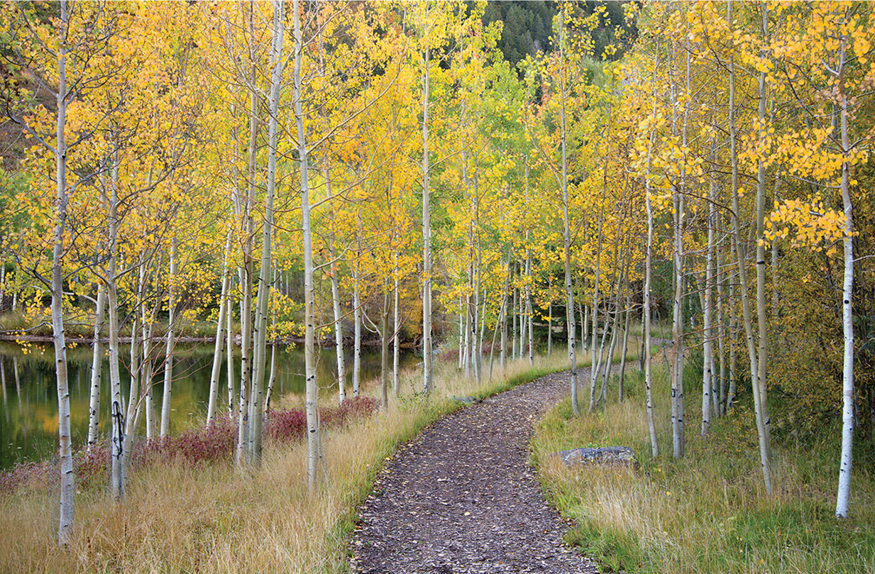 美国山地景观修复（America Mountain landscape restoration）-4