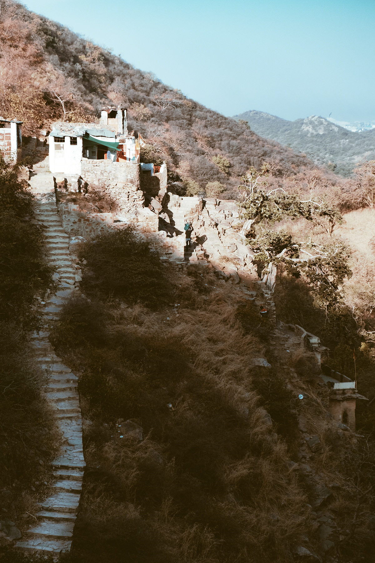 Jaipur 和 Pushkar 漫步摄影集-2