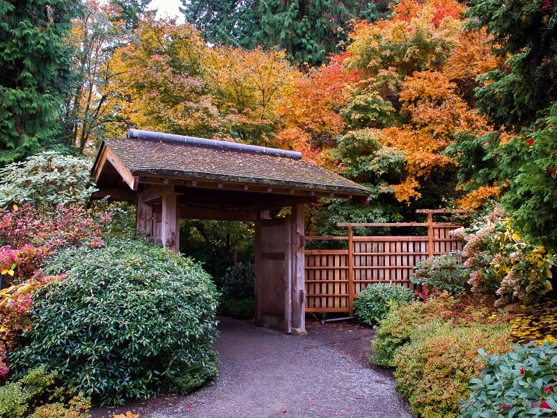 美国贝尔维尤植物园(America Bellevue Botanical Garden)-32