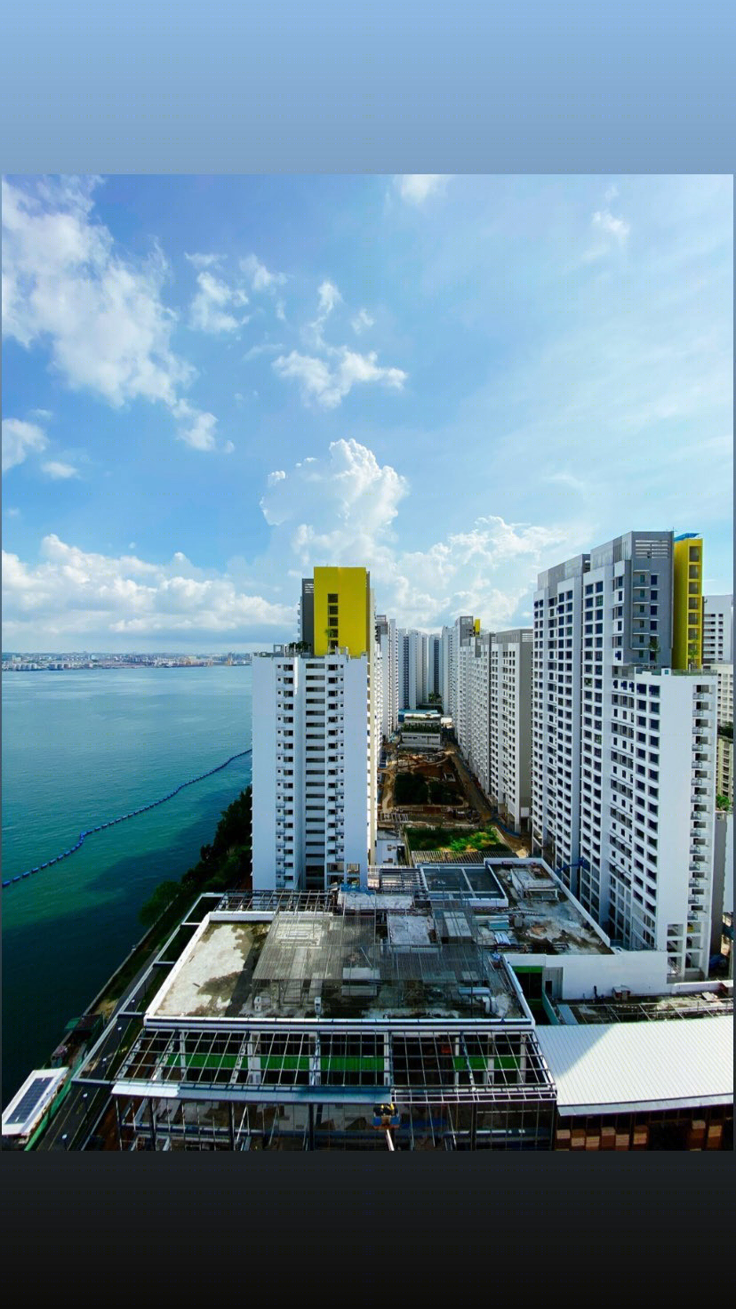 Anastasiya Gushchina丨公寓建筑丨HDB facades-5