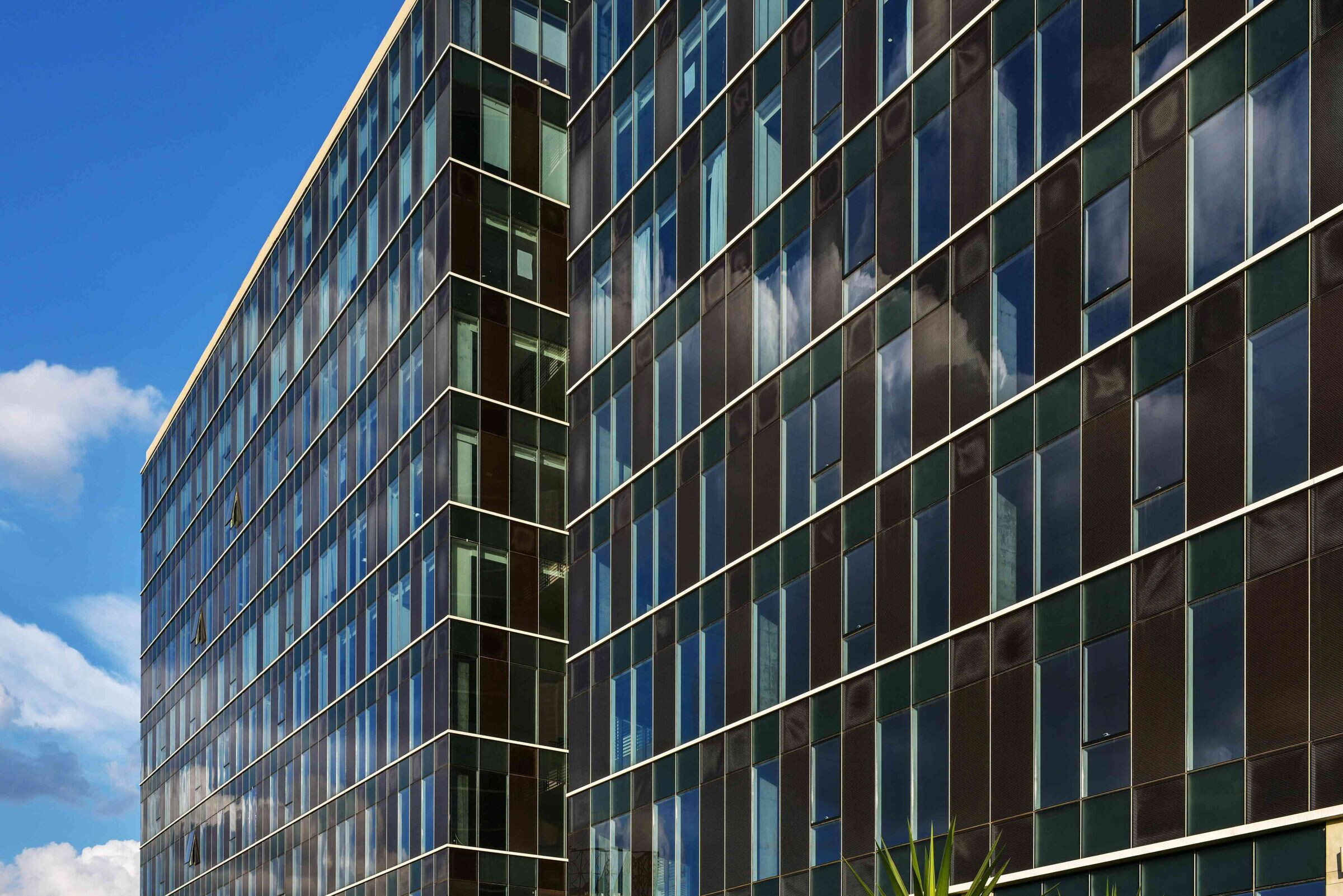 印度 BCIT 办公建筑丨印度班加罗尔丨Edifice Consultants Pvt. Ltd-22