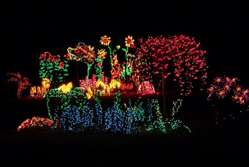 美国贝尔维尤植物园（America Bellevue Botanical Garden）-33
