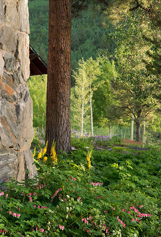 美国山地景观修复（America Mountain landscape restoration）-7