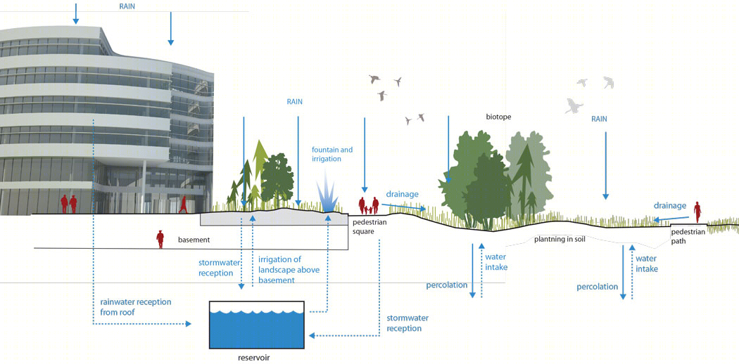 丹麦Novo Nordisk自然公园丨SLA Architects-28