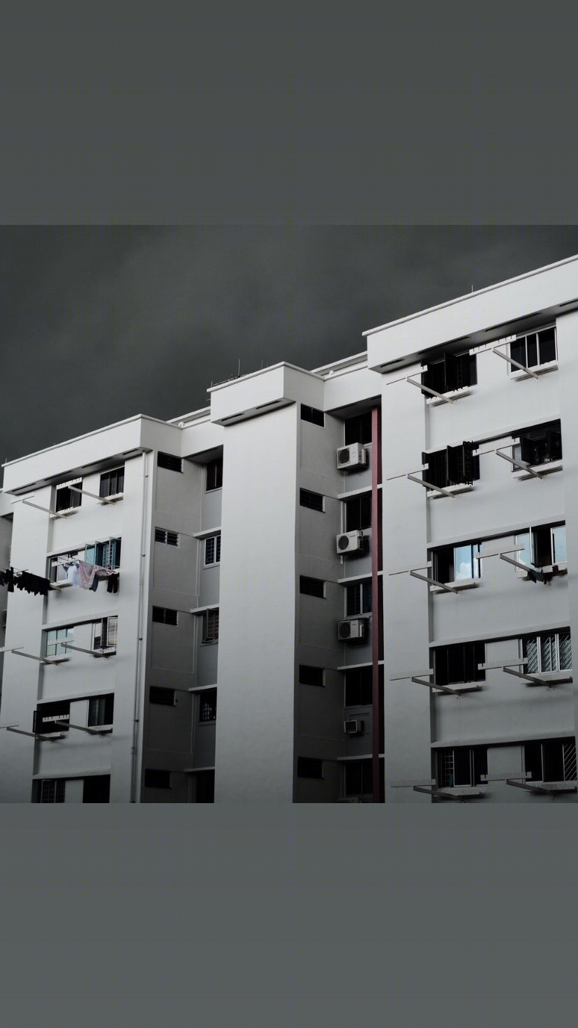 Anastasiya Gushchina丨公寓建筑丨HDB facades-6