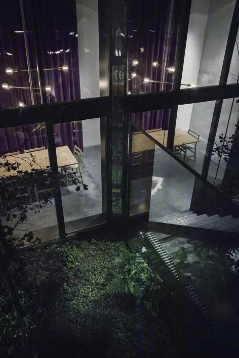 哥本哈根摄影师私人住宅,中庭绿意盎然-11