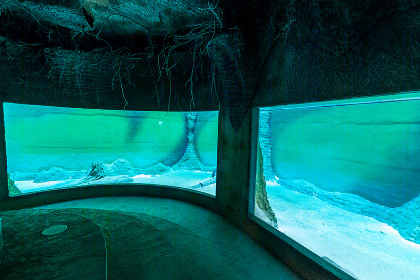 波兰afrykarium海洋水族馆丨ARC2 fabryka projektowa建筑事务所-30