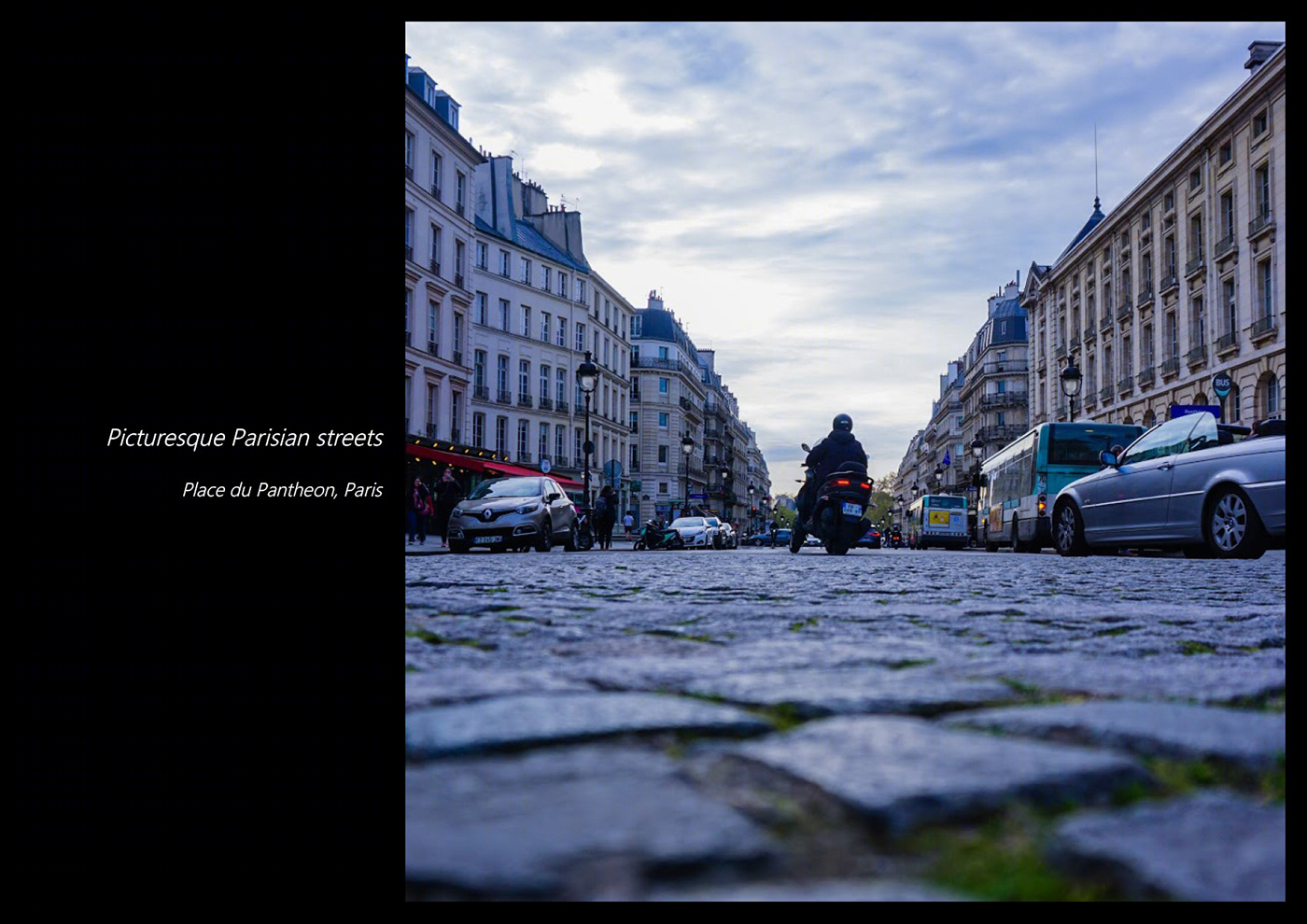 Vivid Radiance - Photography Portfolio-2