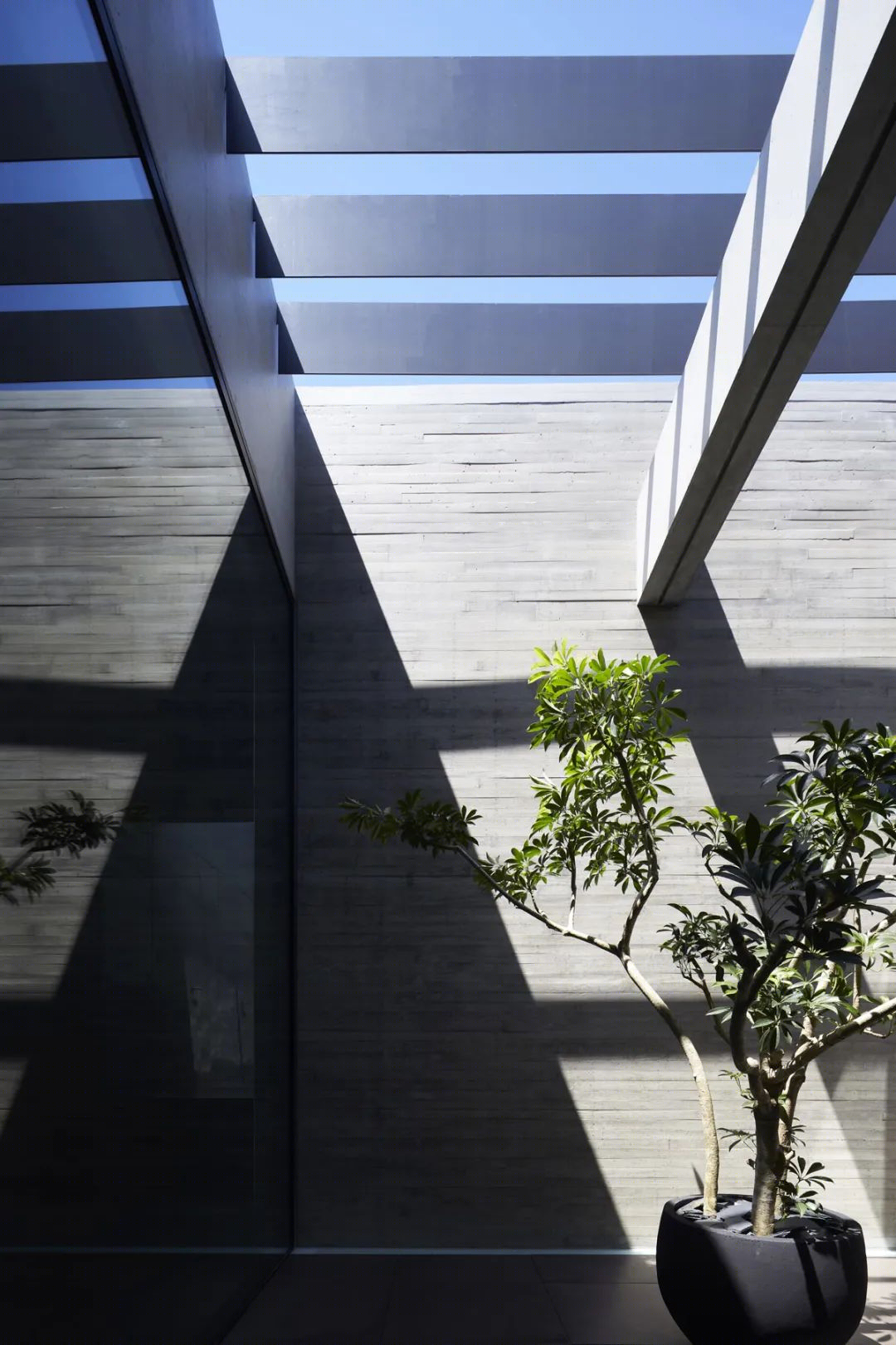 关东 270㎡野兽派美学住宅丨日本丨Apollo Architects & Associates-56