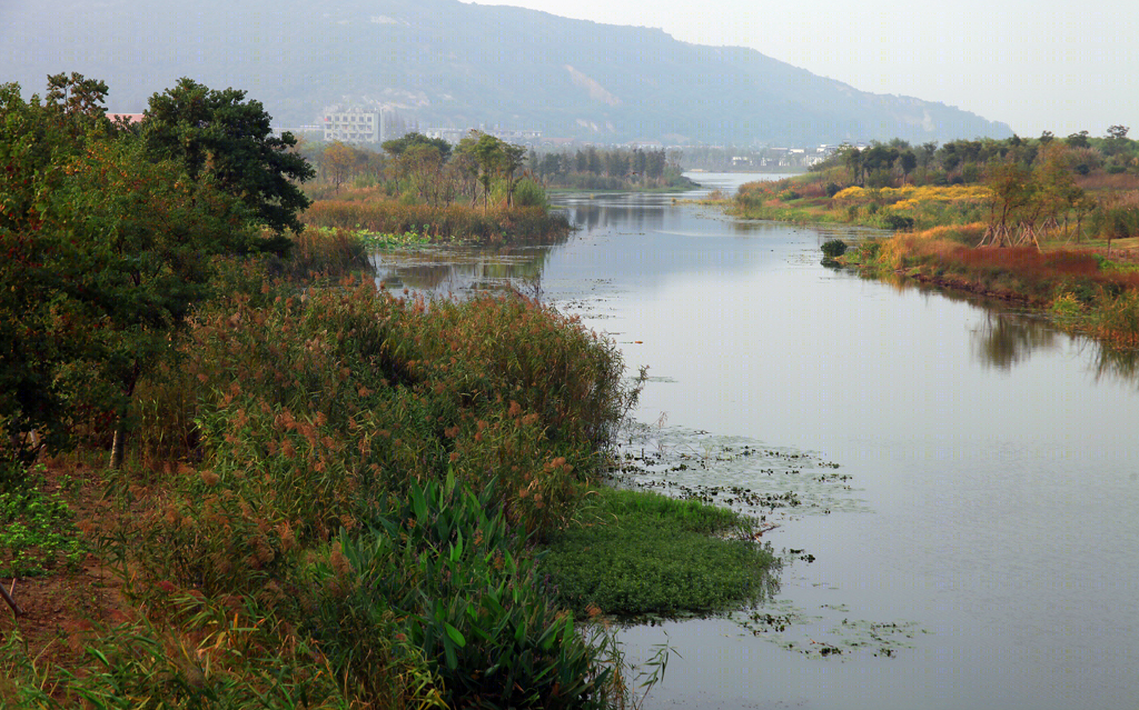 无锡长广溪国家湿地公园-21