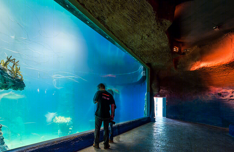 波兰afrykarium海洋水族馆丨ARC2 fabryka projektowa建筑事务所-31