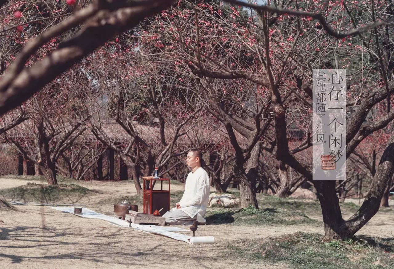 梅林寻梦 | 永嘉原野庄园梅园-34