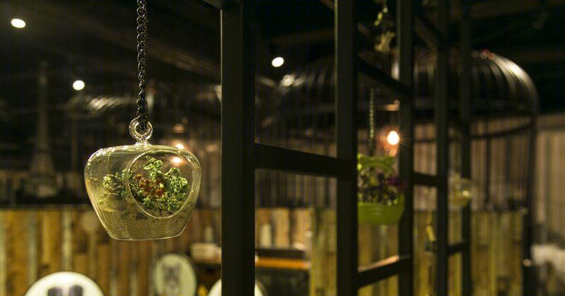 动物主题餐厅·常州牛哄哄私房菜-17