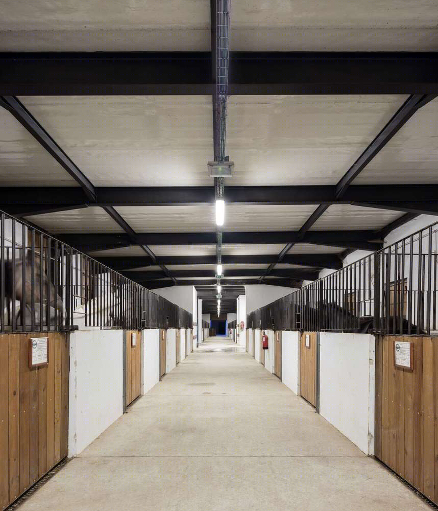 葡萄牙佩德拉斯萨尔加达斯骑马中心-20