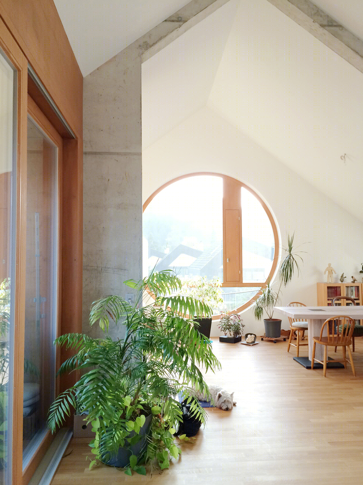 瑞士Baselstrasse公寓住宅丨Felippi Wyssen Architects-21