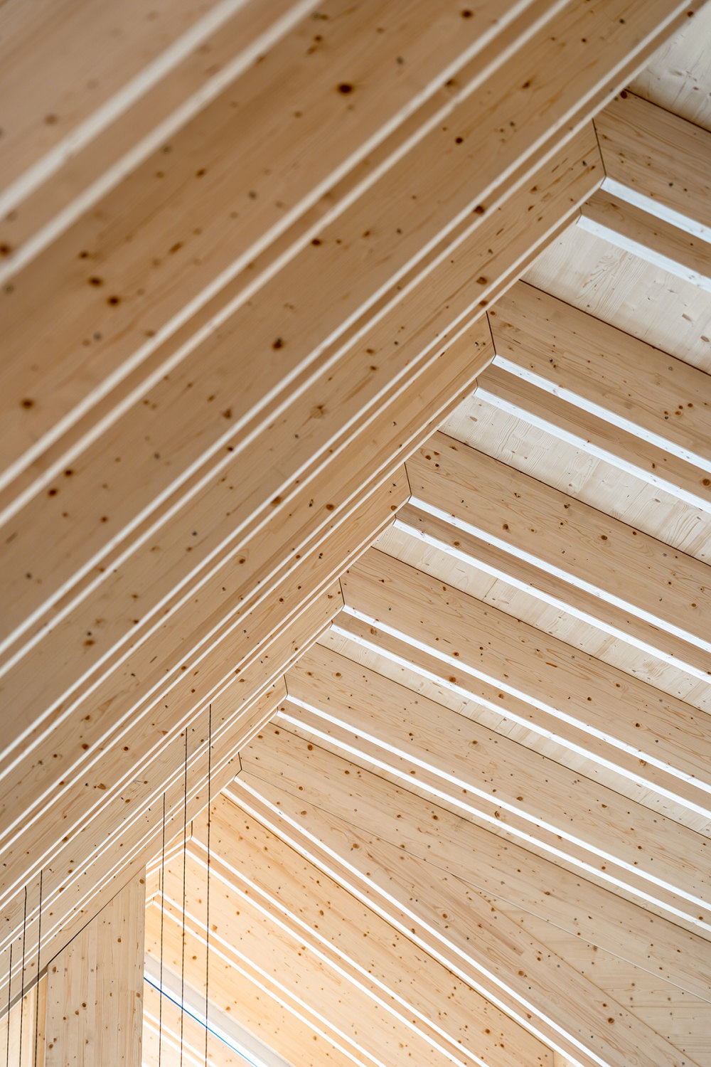 Großweikersdorf 社区中心丨奥地利丨smartvoll architects-63