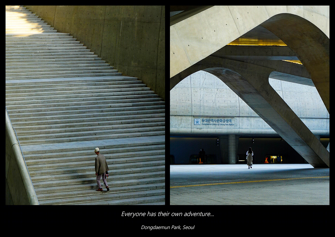 Vivid Radiance - Photography Portfolio-3