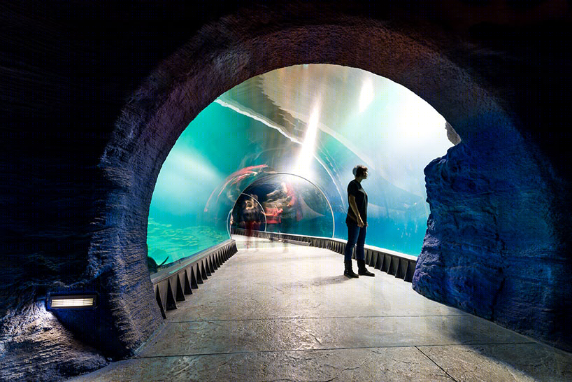 波兰afrykarium海洋水族馆丨ARC2 fabryka projektowa建筑事务所-32