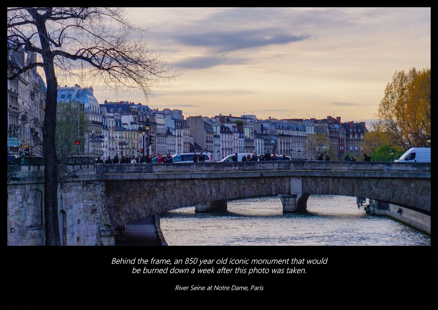 Vivid Radiance - Photography Portfolio-4