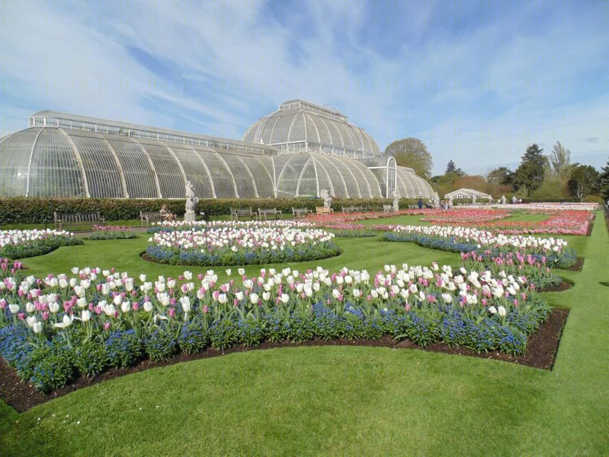 英国皇家植物园——世界文化遗产的绿色秘境-37