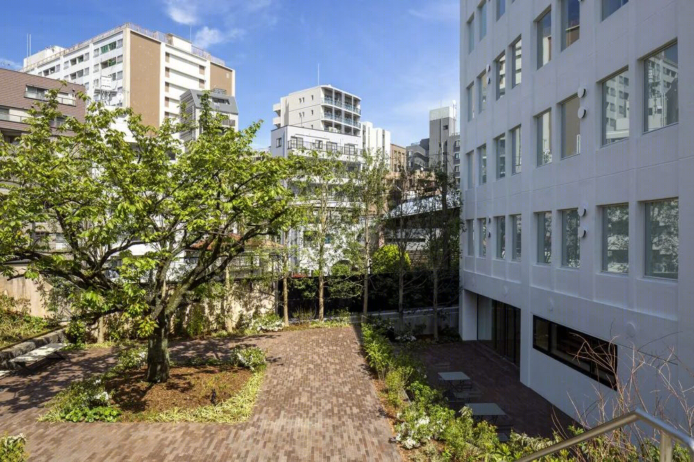 早稻田大学村上春树图书馆丨日本东京丨隈研吾建筑都市设计事务所-67