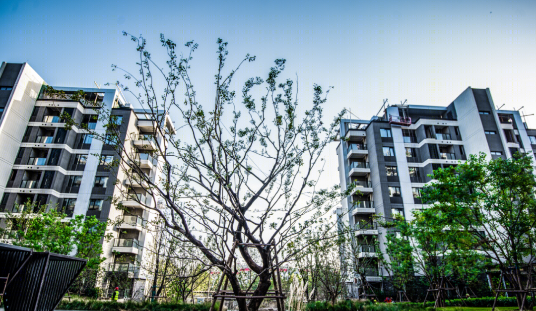 永威·山悦丨中国郑州丨庄镇光,梁建国-152