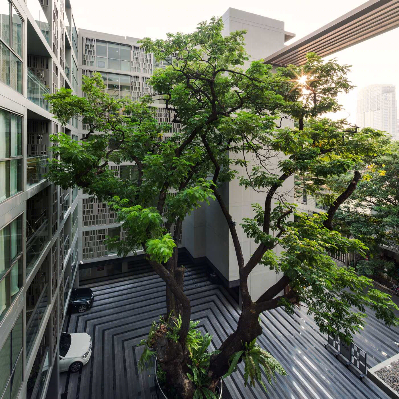 泰国 Via Botani 住宅景观-10