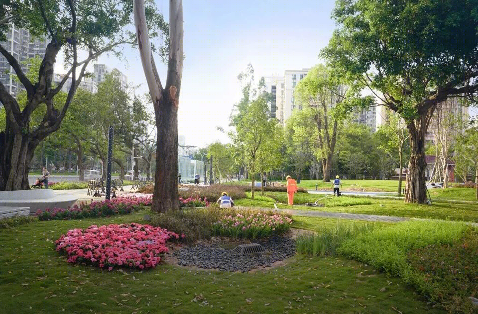 深圳宝安中心区四季公园——融合景观与活动的门户公园-35