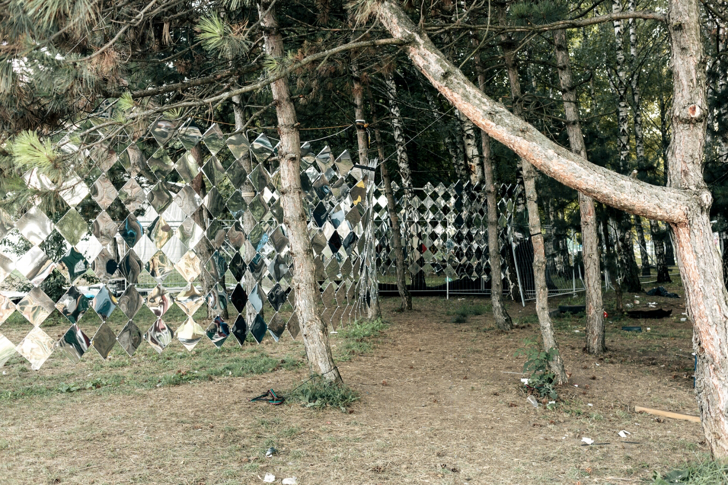 树间镜面景观-21
