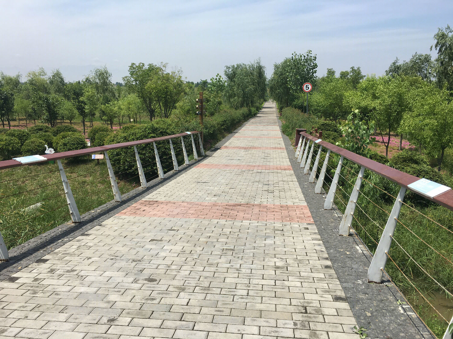 沣河滨河公园-48