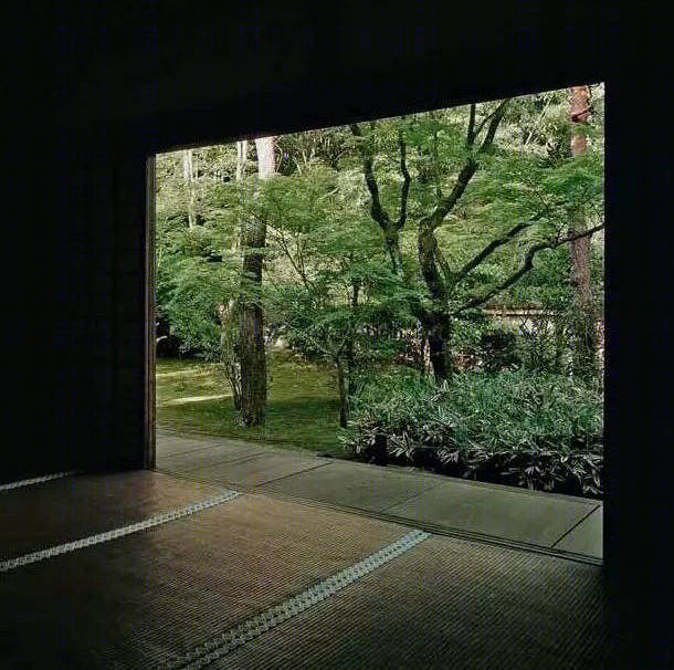 城市中的诗 | 小院子的奢侈生活-5