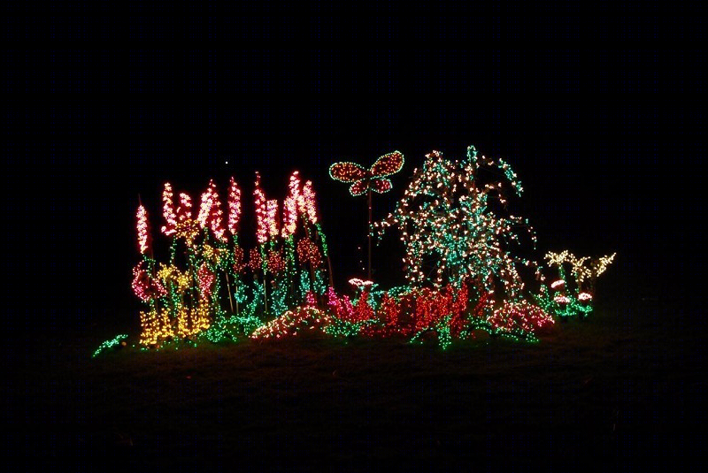 美国贝尔维尤植物园（America Bellevue Botanical Garden）-38