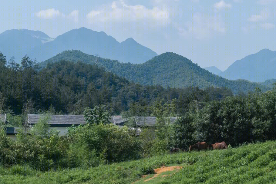 安吉桃花源桃源壹号丨中国浙江丨BA设计-1