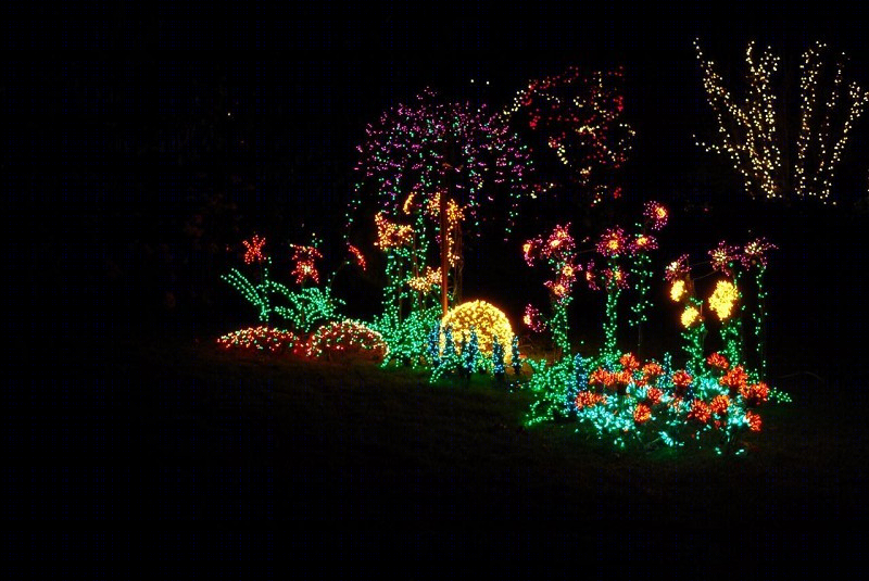 美国贝尔维尤植物园（America Bellevue Botanical Garden）-39