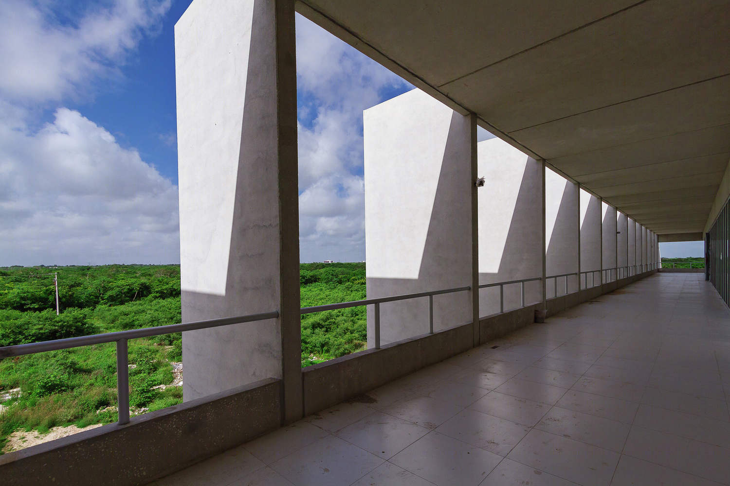 墨西哥TecniA生物技术研究所丨Augusto QuijanoArquitectos-70