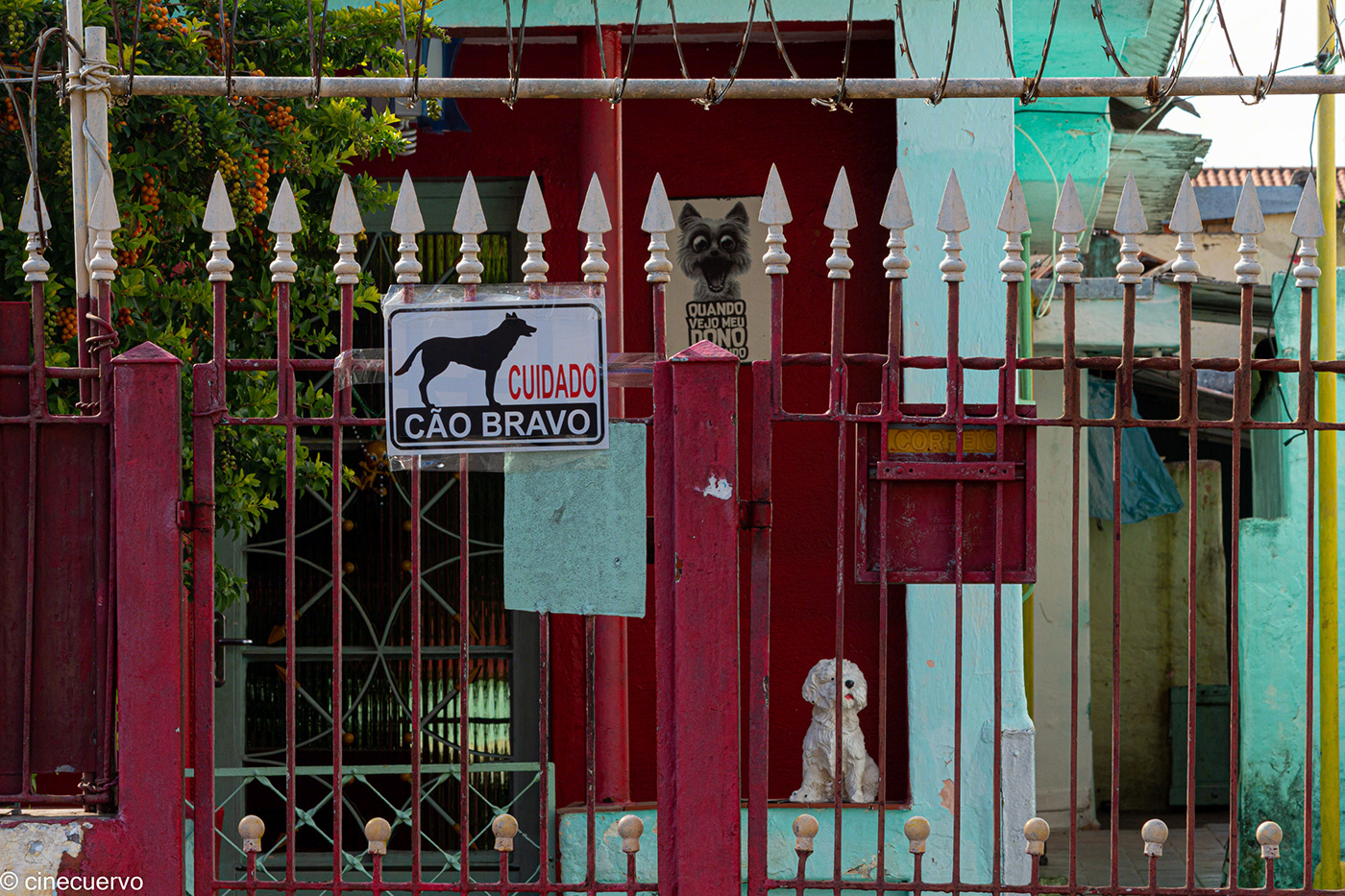 巴西 Vila Nitro 室内设计-5