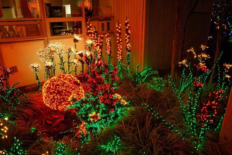 美国贝尔维尤植物园（America Bellevue Botanical Garden）-40