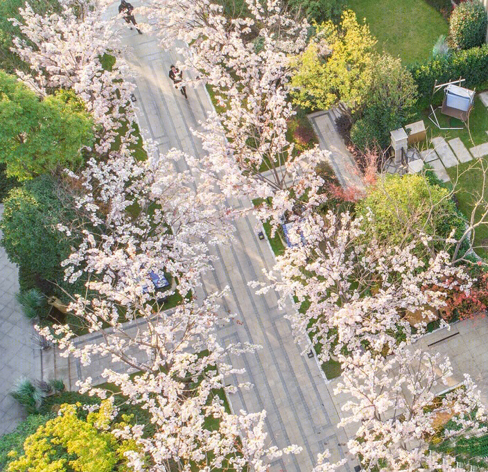 上坤樾山半岛示范区景观-11