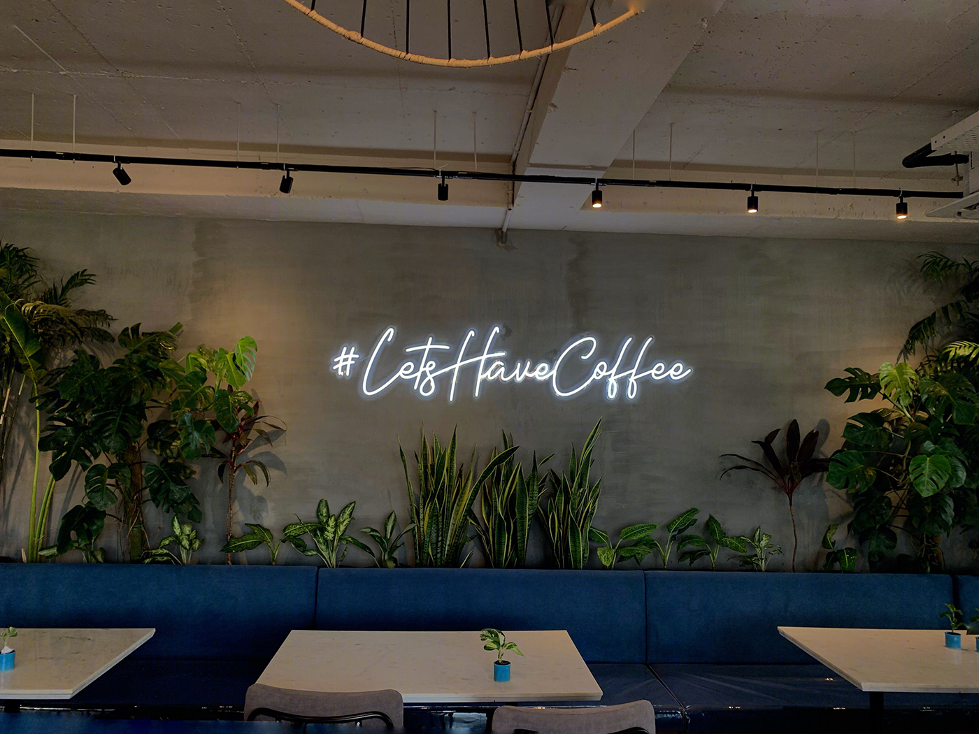 Anastasiya Gushchina丨咖啡店丨Cafe shoot _coffee culture-0