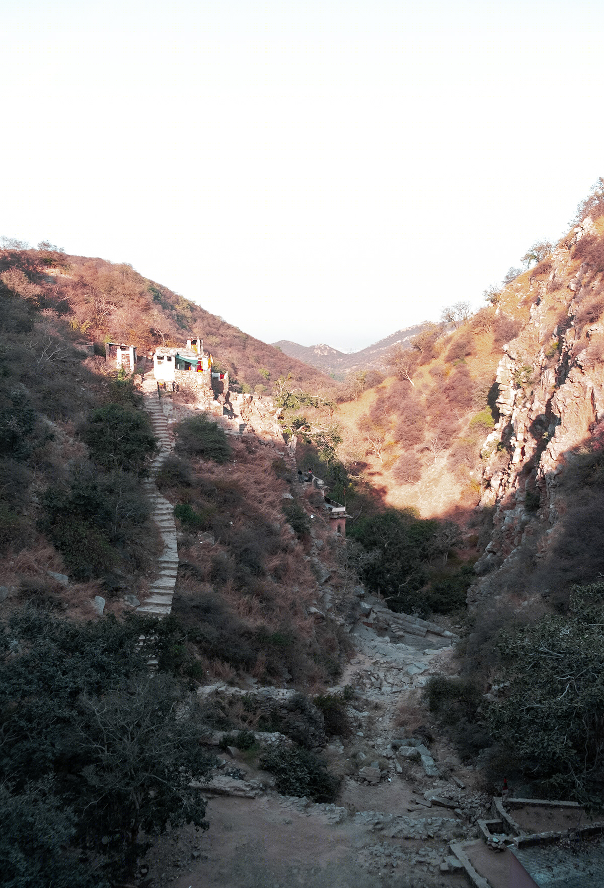 Jaipur 和 Pushkar 漫步摄影集-6