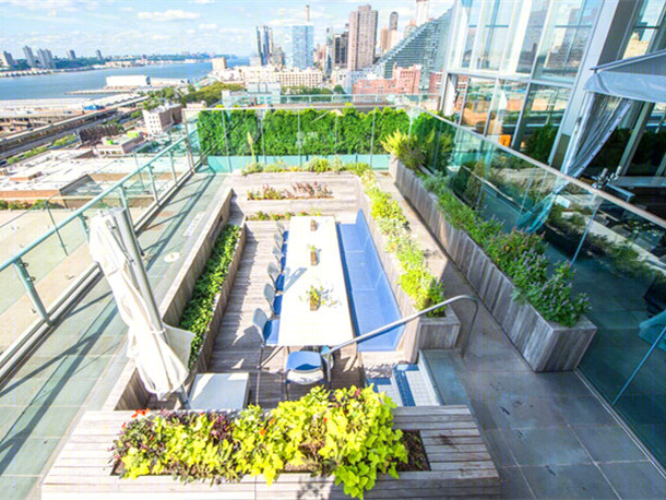 纽约“水池农场”丨Future Green Studio,Farming Up-7