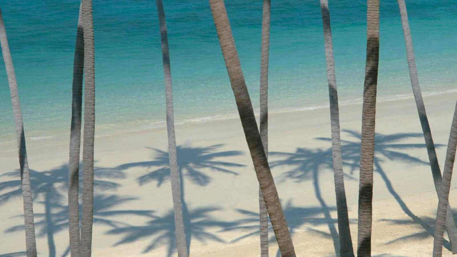 泰国苏梅岛酒店-0