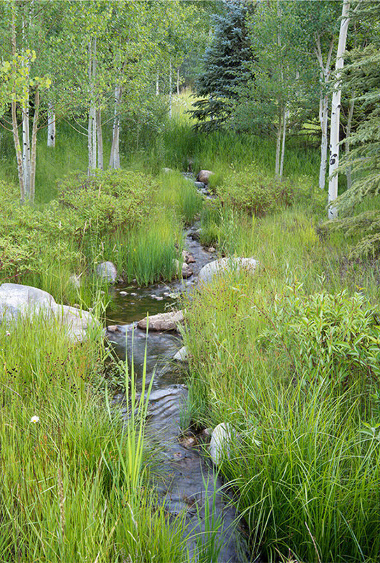 美国山地景观修复（America Mountain landscape restoration）-14