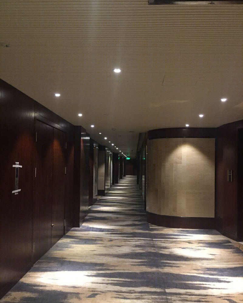 瑞吉豪悦国际酒店-15