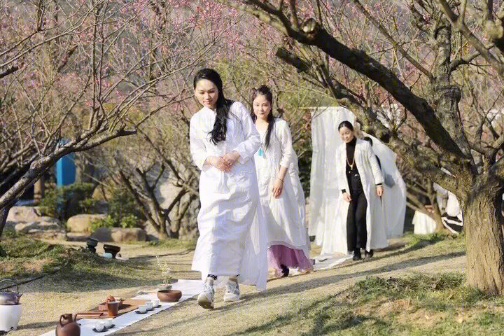 梅林寻梦 | 永嘉原野庄园梅园-37
