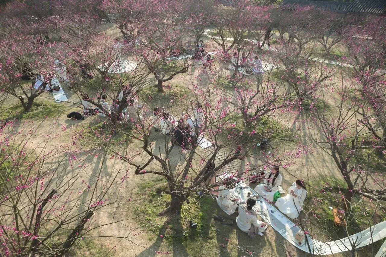 梅林寻梦 | 永嘉原野庄园梅园-38