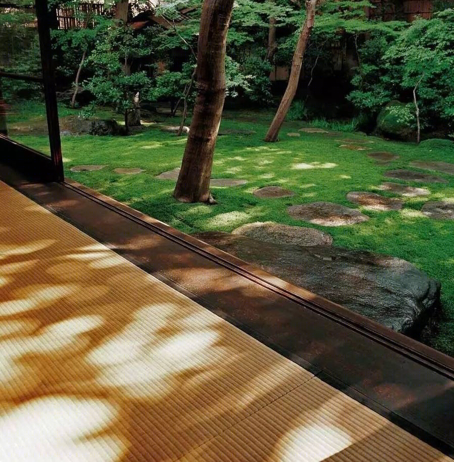 城市中的诗 | 小院子的奢侈生活-10