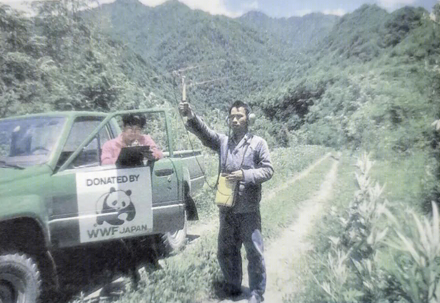 唐家河自然教育中心丨中国四川丨合造社-8