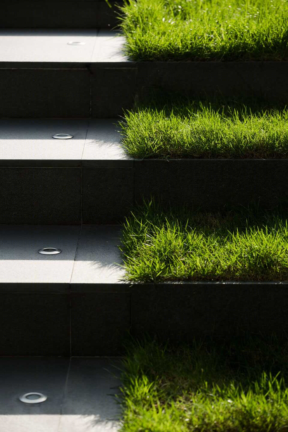 泰国 Via Botani 住宅景观-11